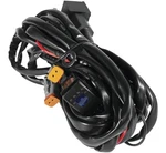 Quadboss 13019T Wiring Harness - Single Dt Connector Up 150W. Fixed Price $107.62.
