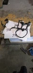 Yamaha YZFR6 1999-2000 Used Oem Headlight Cord 5EB-84359-10-00. Fixed Price $60.00.