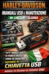 Harley Davidson And Maintenance Manual Usb Stick Italian User Hd. Fixed Price $34.82.